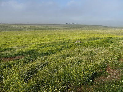Birdwatching in Alentejo